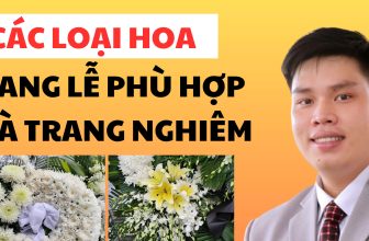 Các Loài Hoa Dùng Trong Tang Lễ Phù Hợp Và Trang Nghiêm